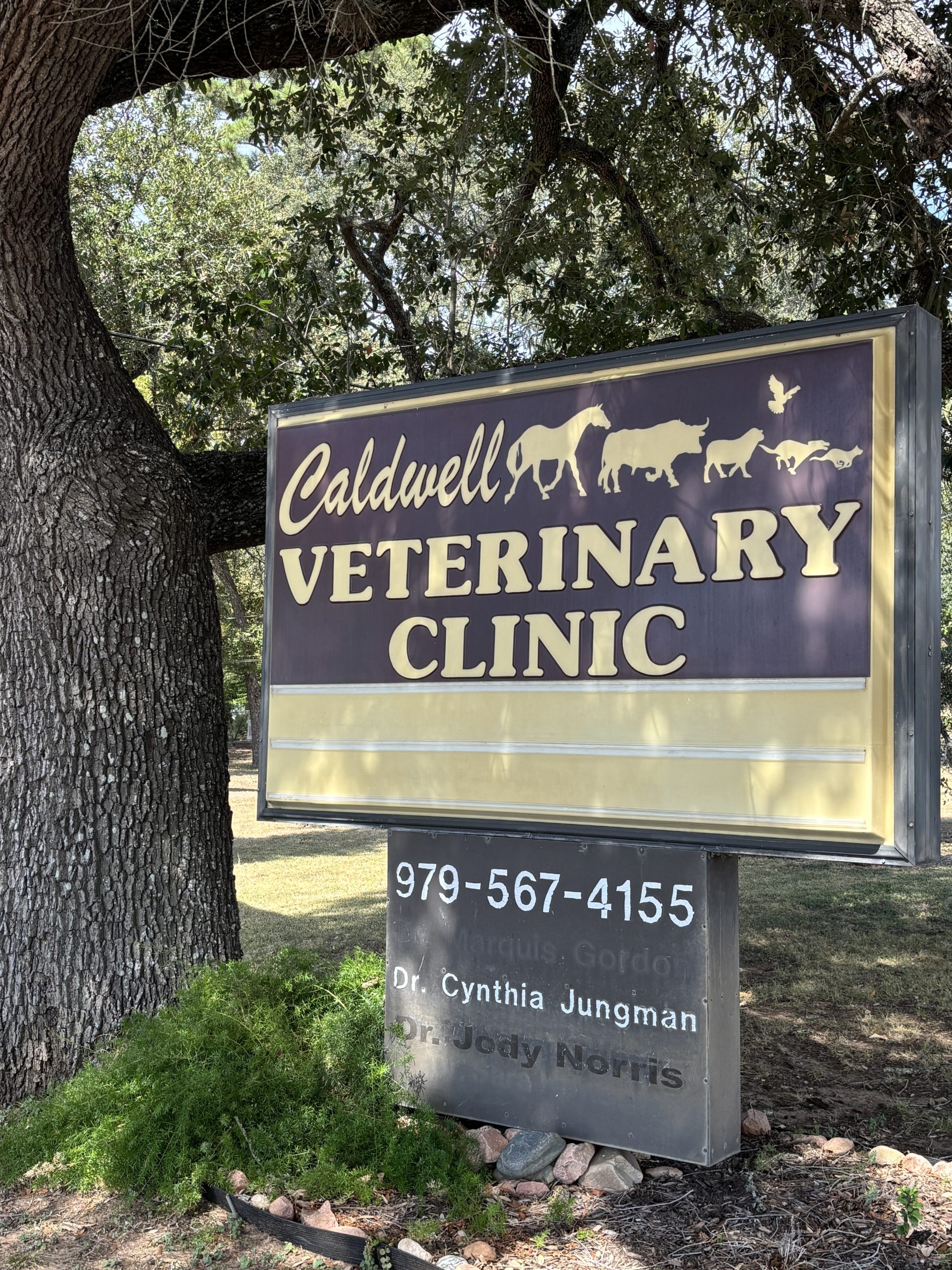Veterinarian in Caldwell, TX
